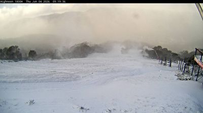 Live webcam in unknown, Ástralía