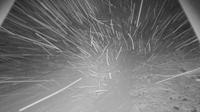 Live webcam in Innfjorden, Норвегія