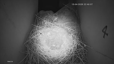 Live webcam in unknown, Britania Raya