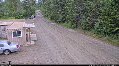 Live webcam in Area P, Canada