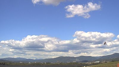 Miren-Kostanjevica - severovzhod