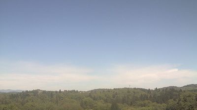 Novo mesto › North-east