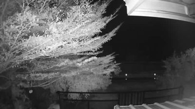 ท่ามะเดื่อ › ใต้