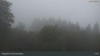 Freiburg im Breisgau: Schwarzwald - Bergstation Schauinslandbahn