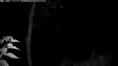 Live webcam in unknown, Japan