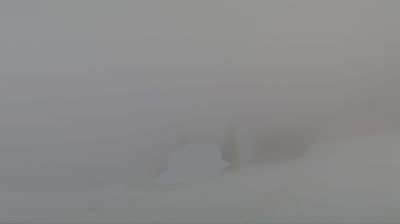 Burglen: Weissenboden