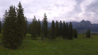 Live webcam in Wildhaus-Alt St. Johann, Suïssa