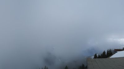 Gsteigwiler: Schynige Platte