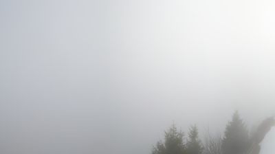 Engelberg: Fürenalp - Bergrestaurant Fürenalp - Fürenalp, Engelberg - Fürenalp-Bahn