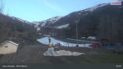 Pradollano: Sierra Nevada - Mirlo Blanco, Mirlo Blanco