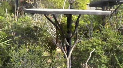 Live webcam in San Diego, ایالات متحده آمریکا