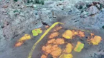 Beitbridge › South-east