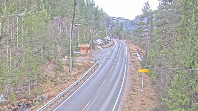 Live webcam in Trydal, Noruega