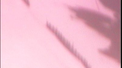 Live webcam in Aviemore, Birleşik Krallık