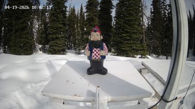 Live webcam in Area B, Canadà