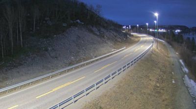 Borisoglebsk: Storskog