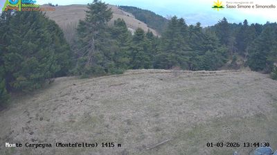 Carpegna: Monte Carpegna