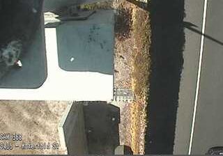 לוס אנג'לס: Westwood › דרום: I-405 : (368) Waterford St