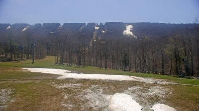 Live webcam in Pine Hill, ایالات متحده آمریکا