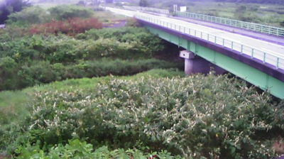 Live webcam in Otobe, Japó