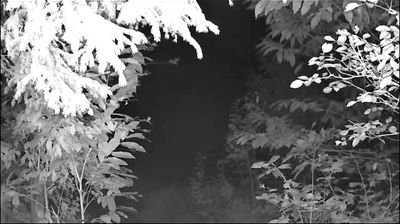 Webcam Log-Dragomer › South: Kolesarsko društvo DR.MUD