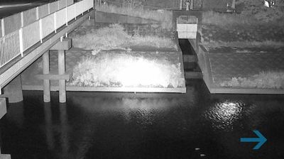 Live webcam in Minami Ward, Japan