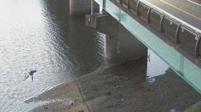 Live webcam in Higashi Ward, Japan