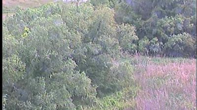 Live webcam in Hamakita Ward, Nhật Bản