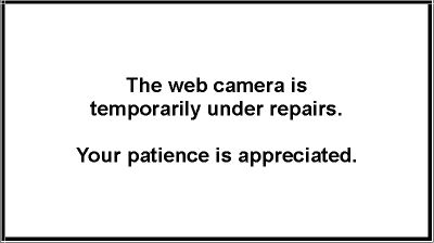 Live webcam in Pine Bluffs, USA