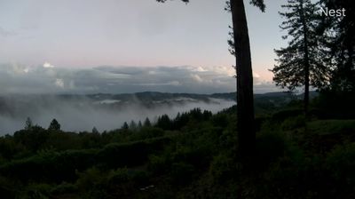 Live webcam in Scotts Valley, ایالات متحده آمریکا
