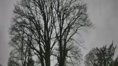 Hamburg › North-west