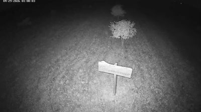 Plaimpied-Givaudins: Thuet - Charles VII 1