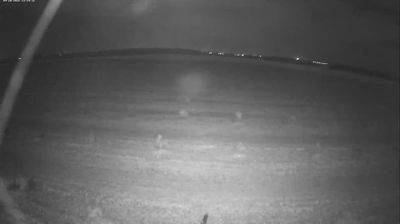 Plaimpied-Givaudins: Thuet - Charles VII 3