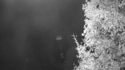 Webcam Bad Urach › West: Höhenfreibad Bad Urach
