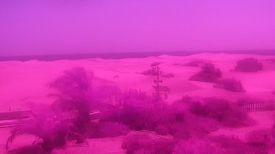 San Bartolome de Tirajana: Mirador de las Dunas
