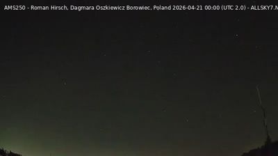 Dachowa › Sud-oest: Borowiec