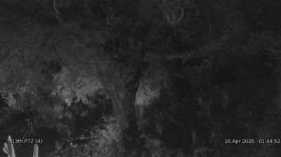 Live webcam in Nkomazi, Etelä-Afrikka