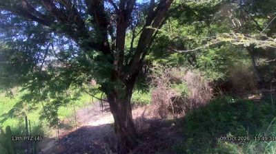 Nkomazi: Leopard Creek Country Club