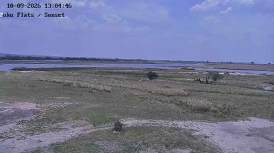 Kasane: Chobe Savanna Lodge - Chobe National Park