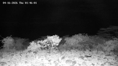 Live webcam in unknown, Kenya