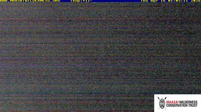 Kajiado: Maasai Wilderness Conservation Trust