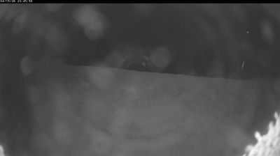 Taita Taveta: Satao Camp