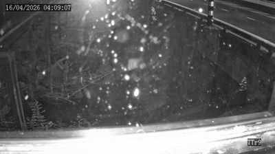 Live webcam in ตรัง, ประเทศไทย