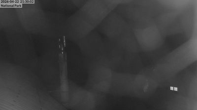 Ruapehu District › South-east: National Park