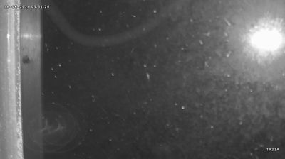 Live webcam in ท่ามะเดื่อ, ประเทศไทย