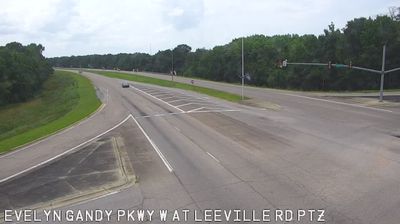 Petal: MS 42 at Leeville Rd