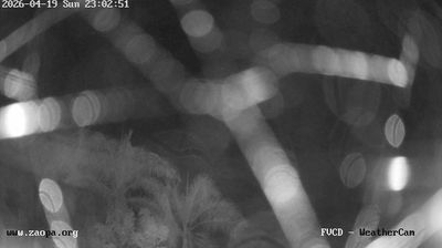 Live webcam in Chirundu, Ζάμπια