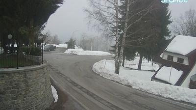 Viola › North-east