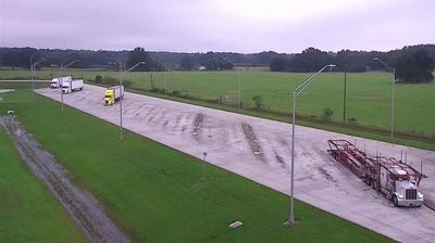 Live webcam in Pedro, United States