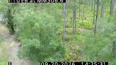 Live webcam in Lake City, United States